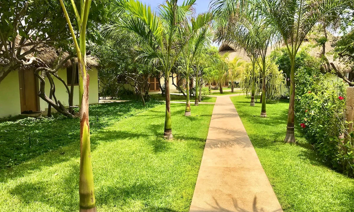 4947ea9a-f2da-4668-8911-46edccf64c62